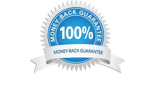 Jasa Pembuatan WebSite Pekanbaru